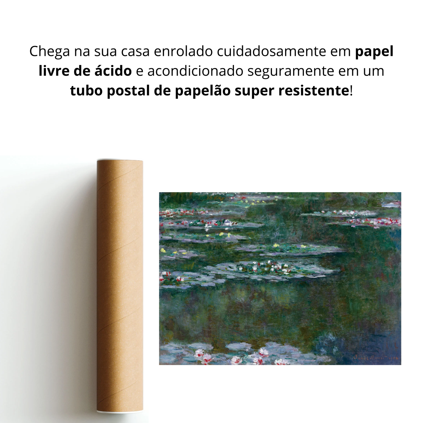 Nenúfares (Nymphéas)