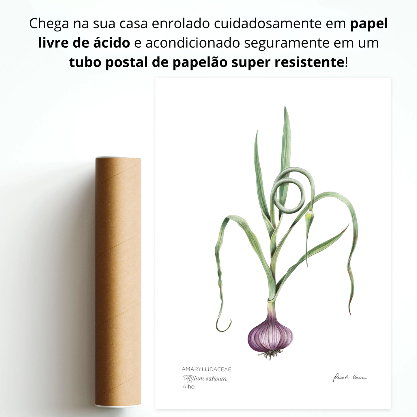 Alho