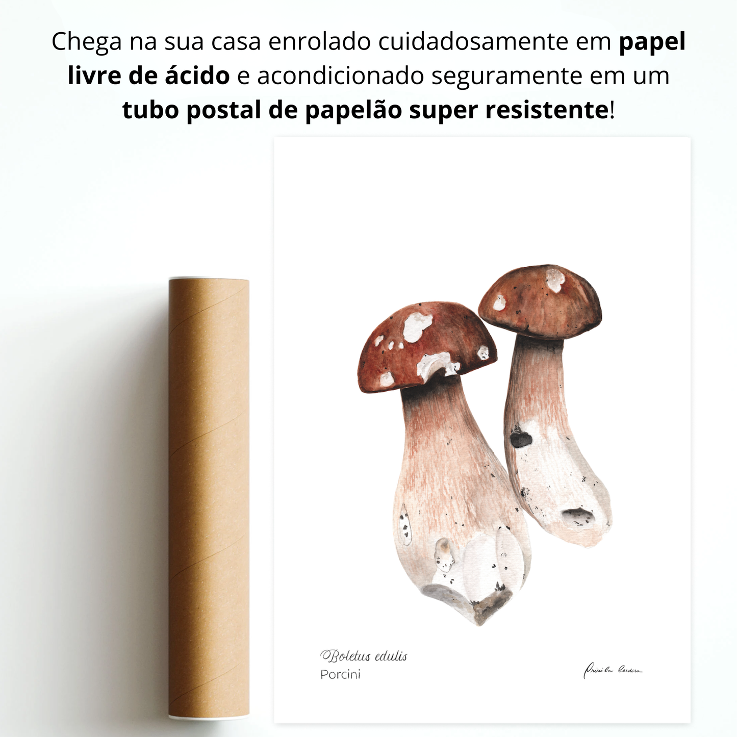 Porcini