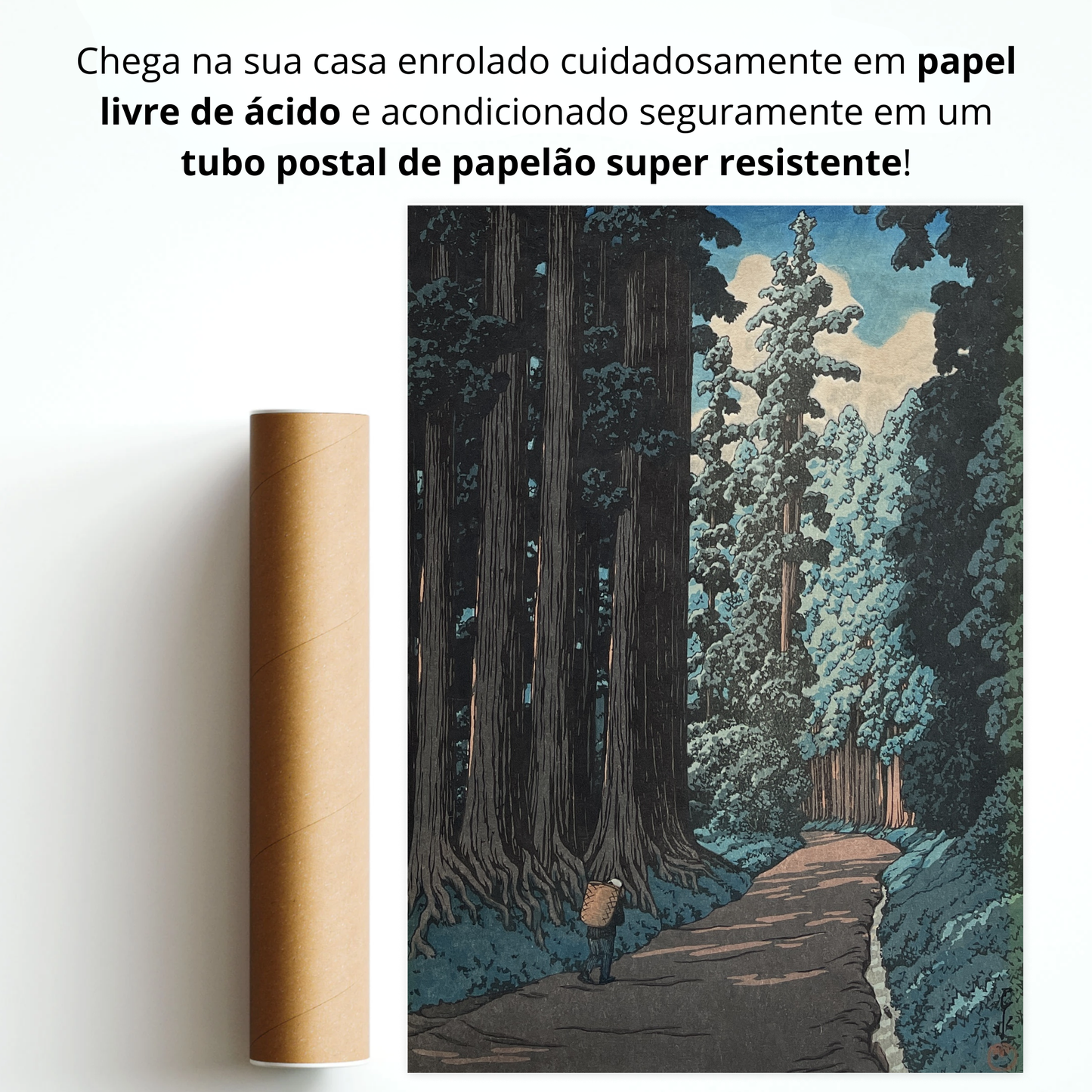 A Estrada para Nikko (Nikko Gaido)