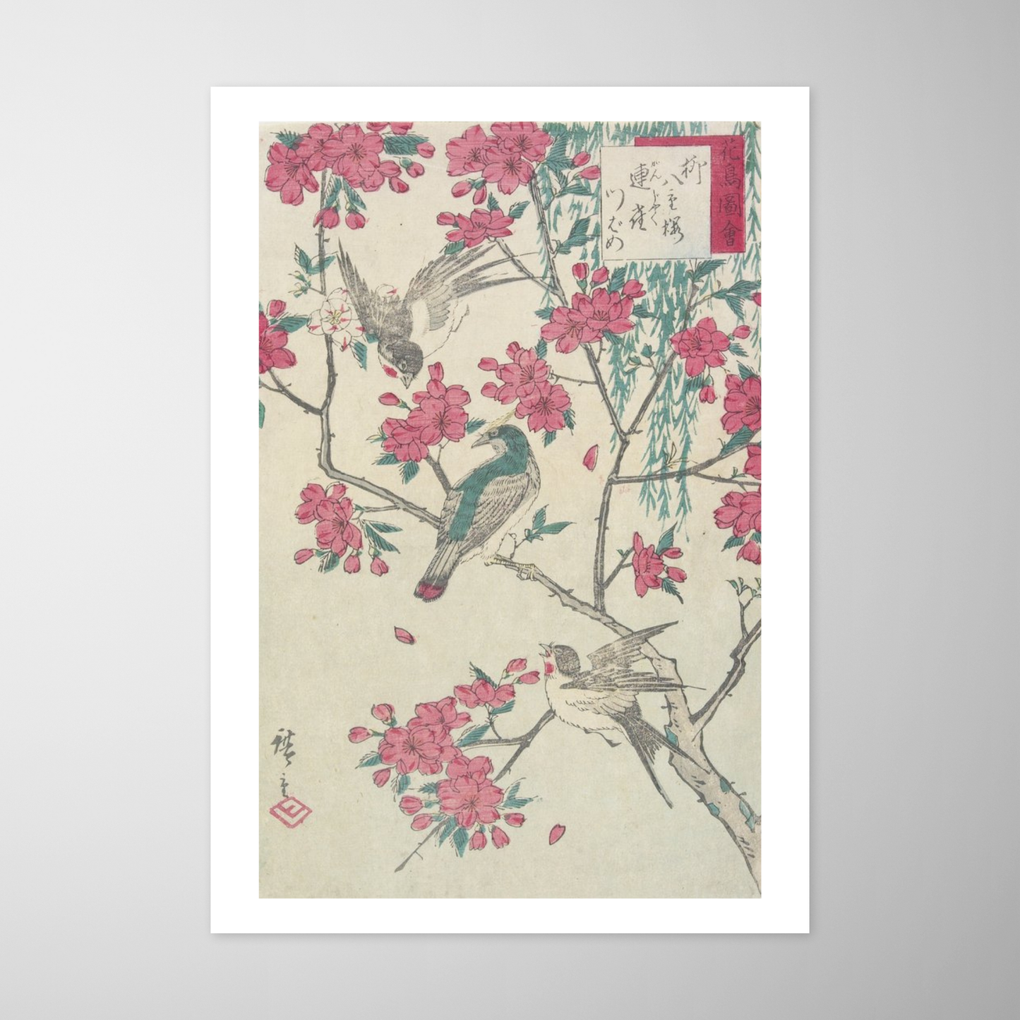 Salgueiro, flores de cerejeira, pardal e andorinha (Willow, Cherry Blossoms, Sparrows and Swallow)