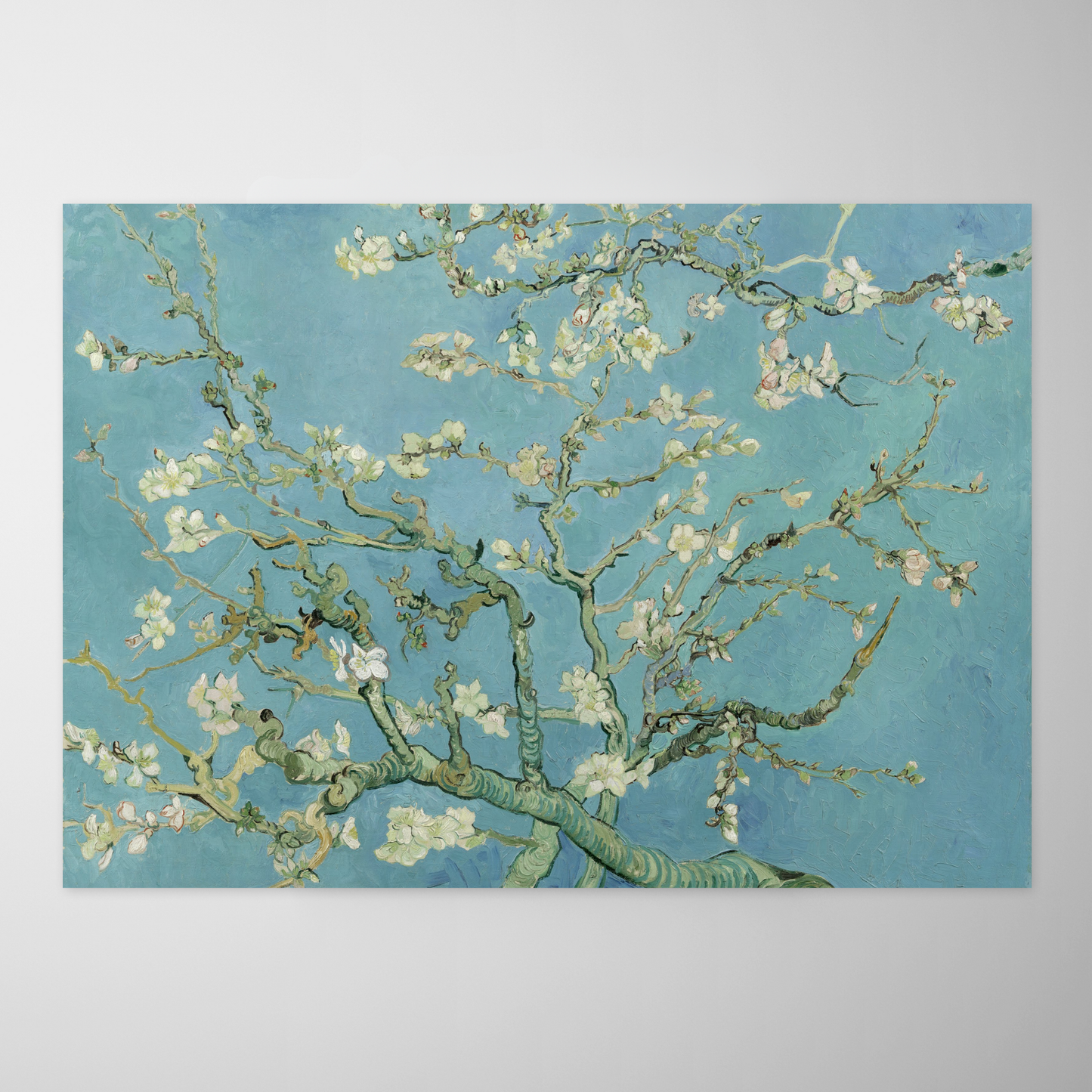 Amendoeira em Flor (Almond Blossoms)
