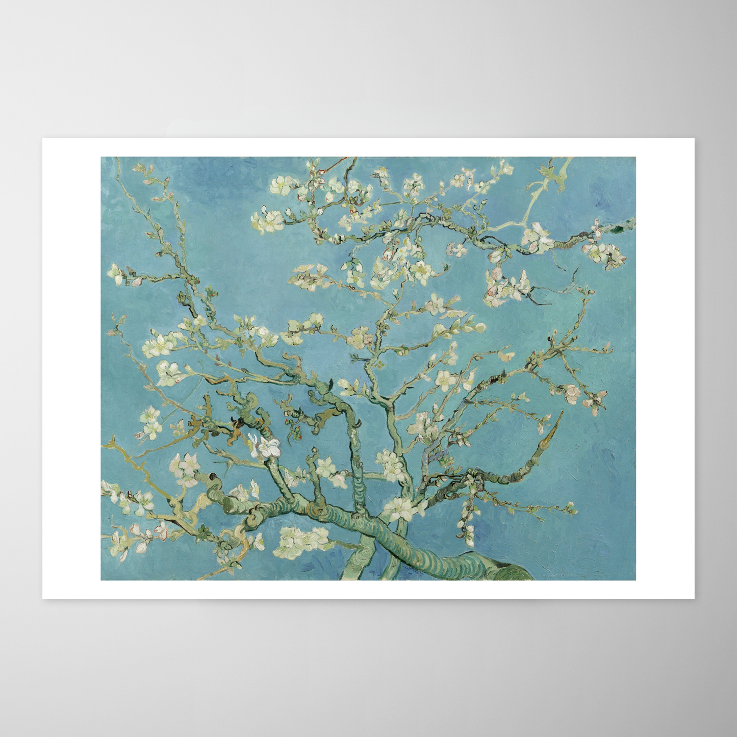 Amendoeira em Flor (Almond Blossoms)