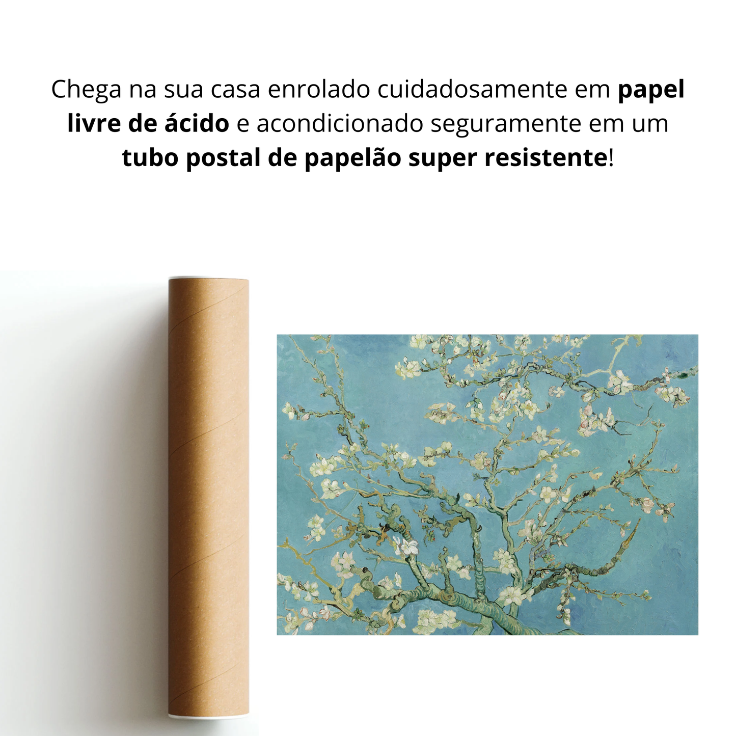 Amendoeira em Flor (Almond Blossoms)