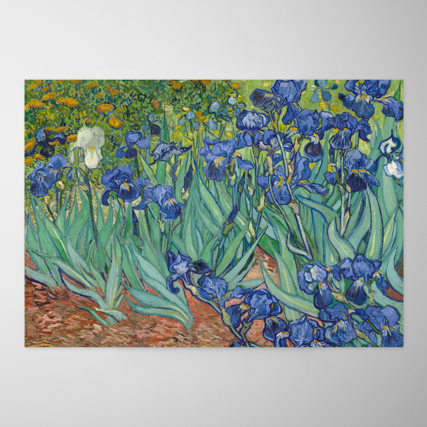 Íris (Les Irises)