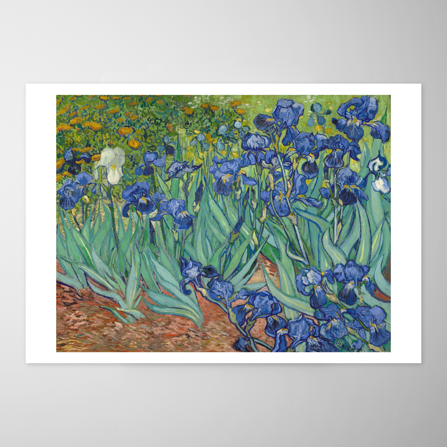 Íris (Les Irises)