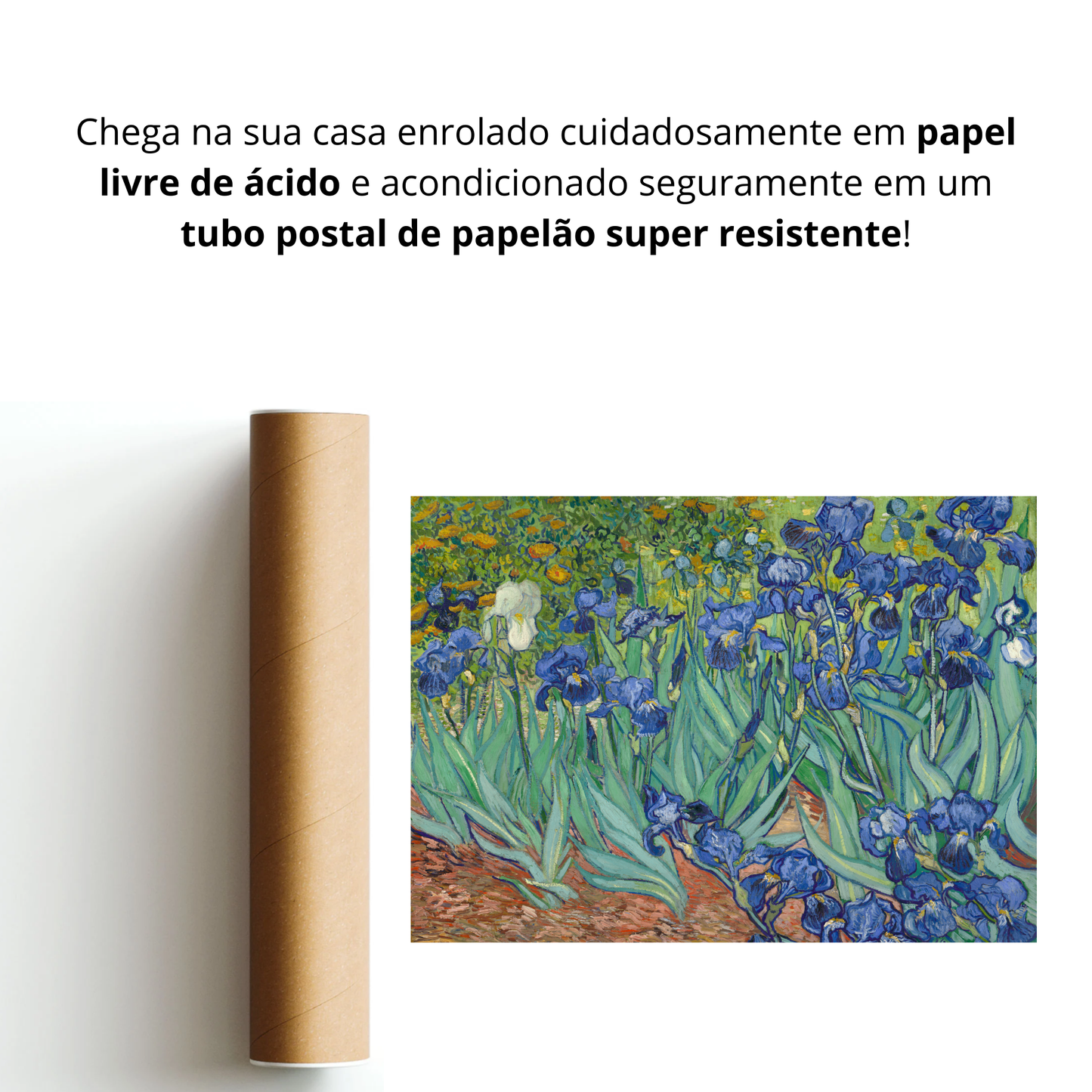 Íris (Les Irises)