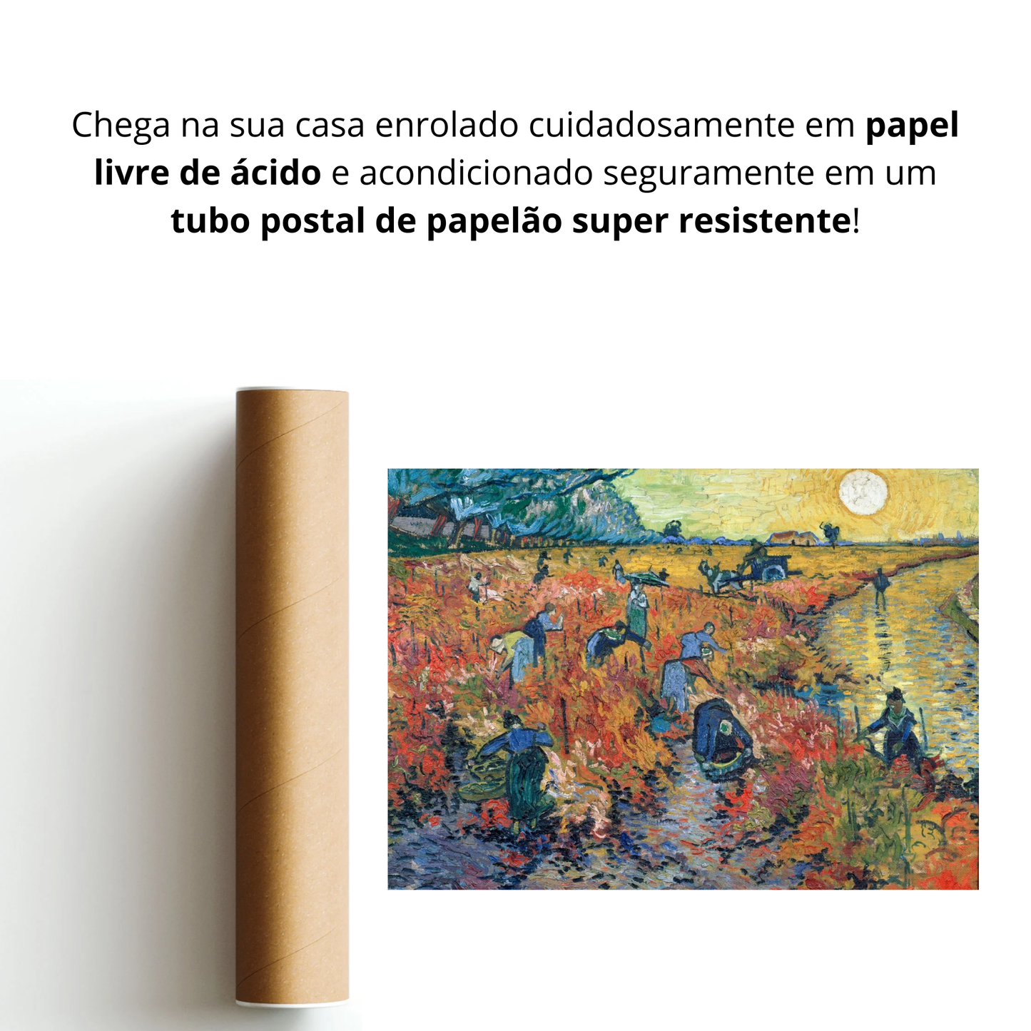 A Vinha Encarnada (Die Rooi Wingerd)