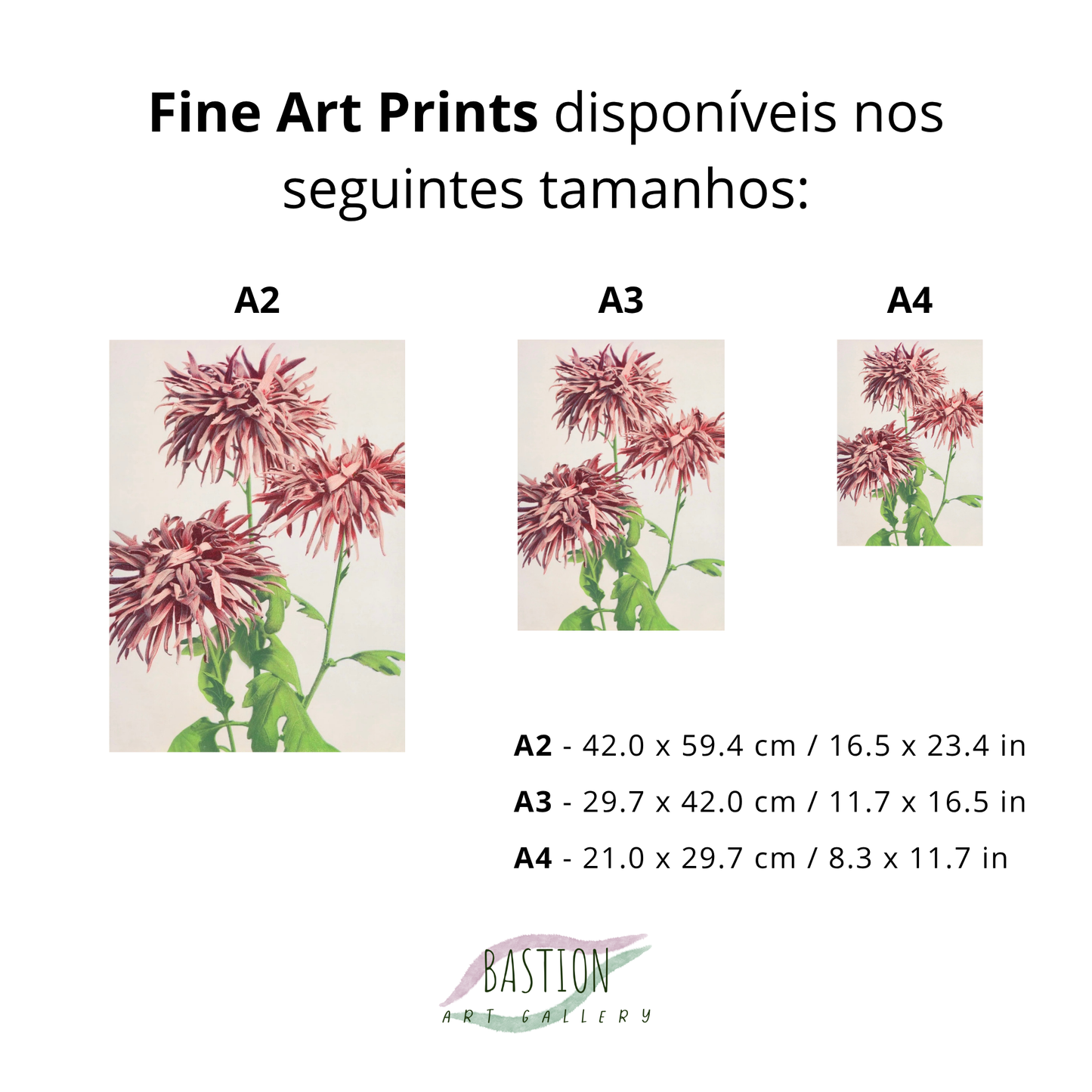 Flores de Crisântemo (Kiku no Hana)