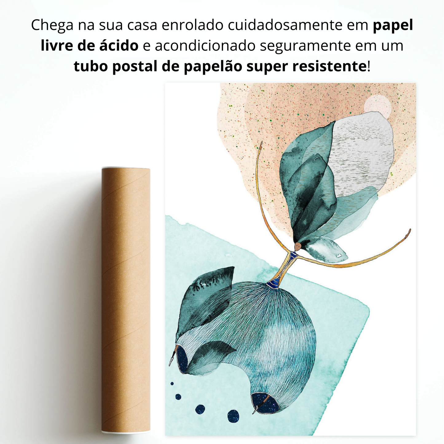 Sonhos (Dreams)