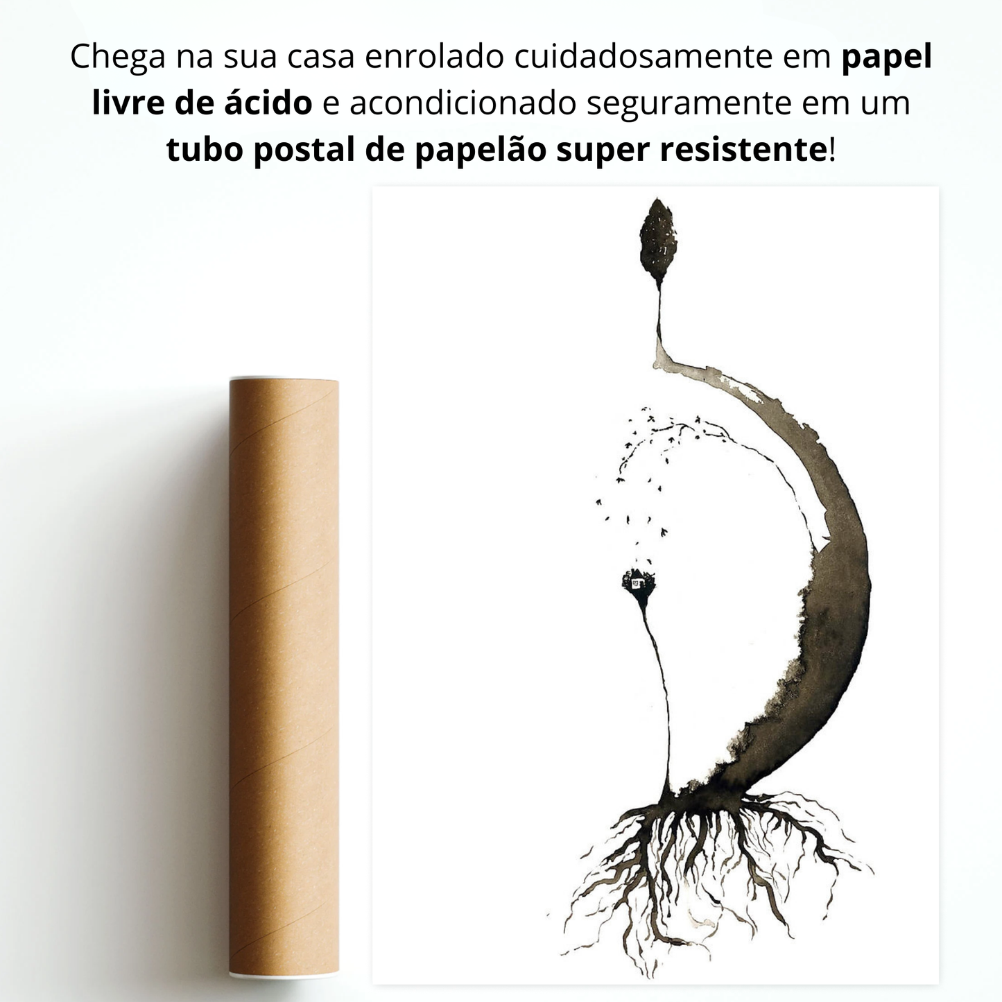 Paragens - 3 - Edição Limitada