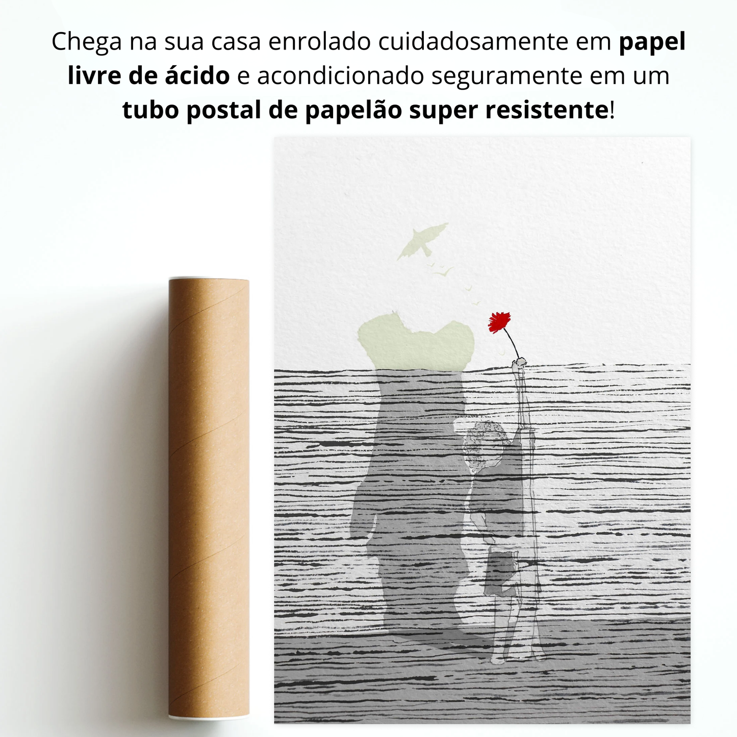 Explicação do País de Abril - Manuel Alegre - Edição Limitada