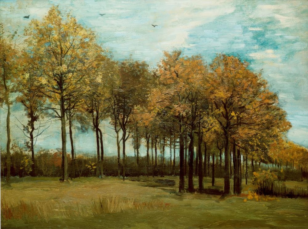 Paisagens