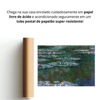 Nenúfares (Nymphéas)