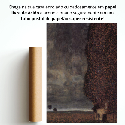 O Grande Álamo II (The Big Poplar II)