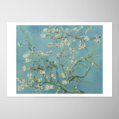 Amendoeira em Flor (Almond Blossoms)