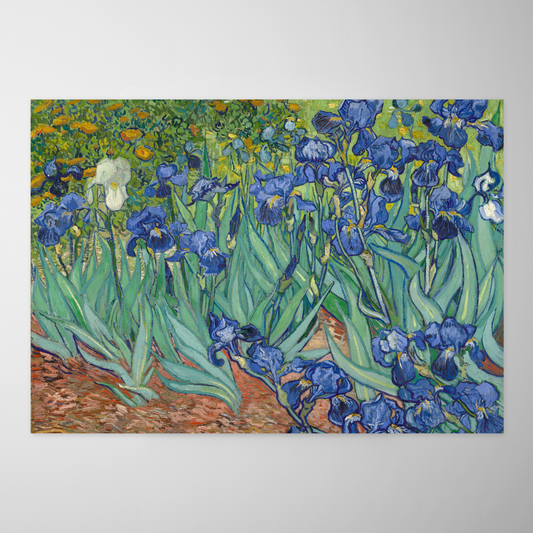 Íris (Les Irises)