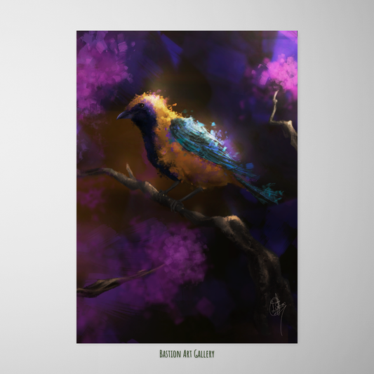 Saíras III - Saíra Amarela