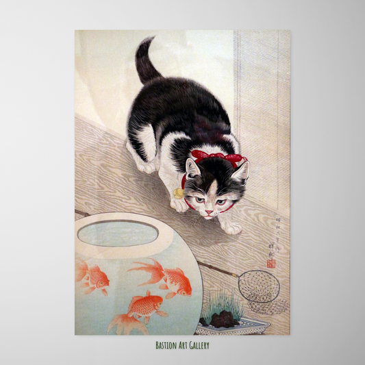 Gato e Peixes Dourados