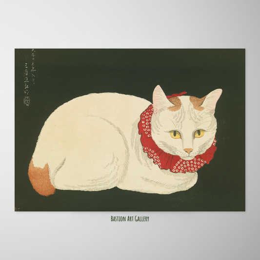 Gato Branco