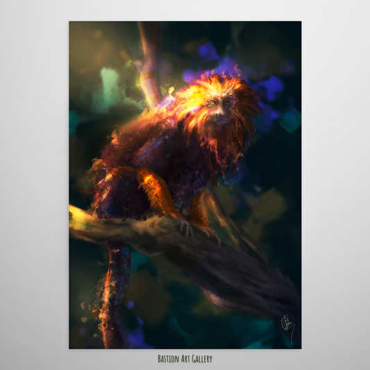 Mico Leão da Cara Dourada