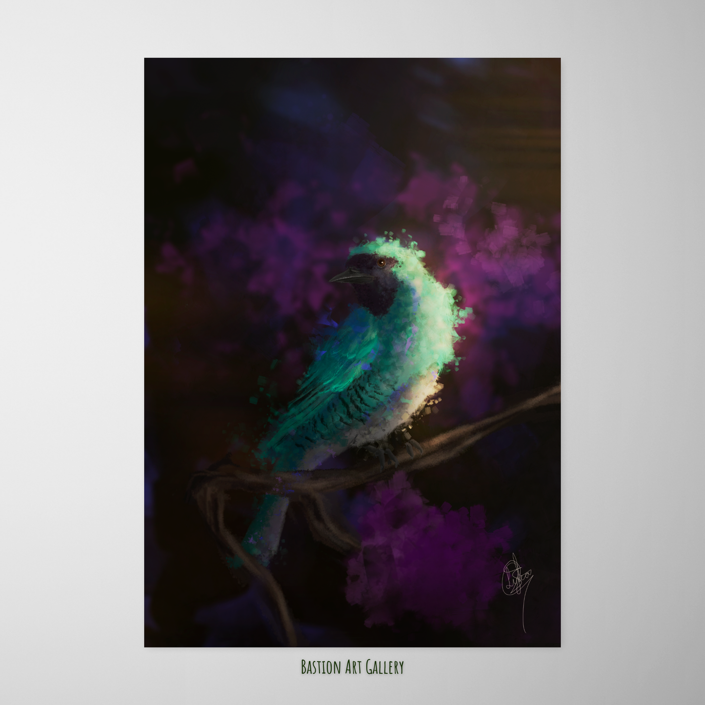 Saíras I - Saí Andorinha