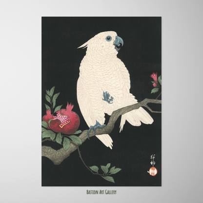 Cacatua e Romã