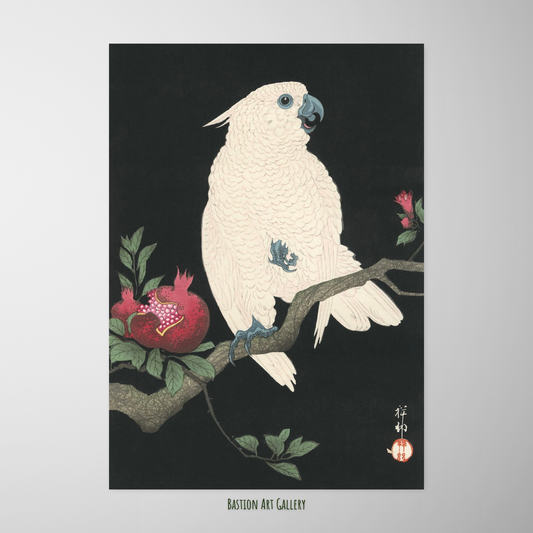 Cacatua e Romã