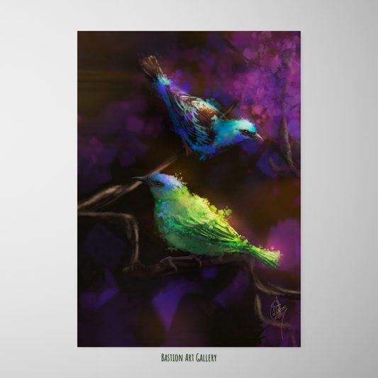 Saíras II - Saí Azul (casal)