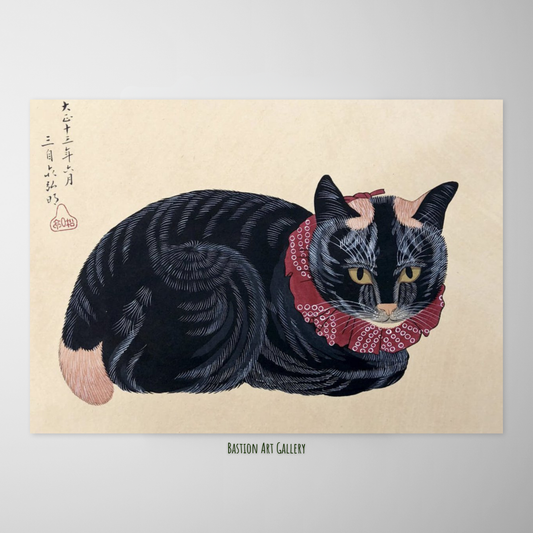 Gato Preto