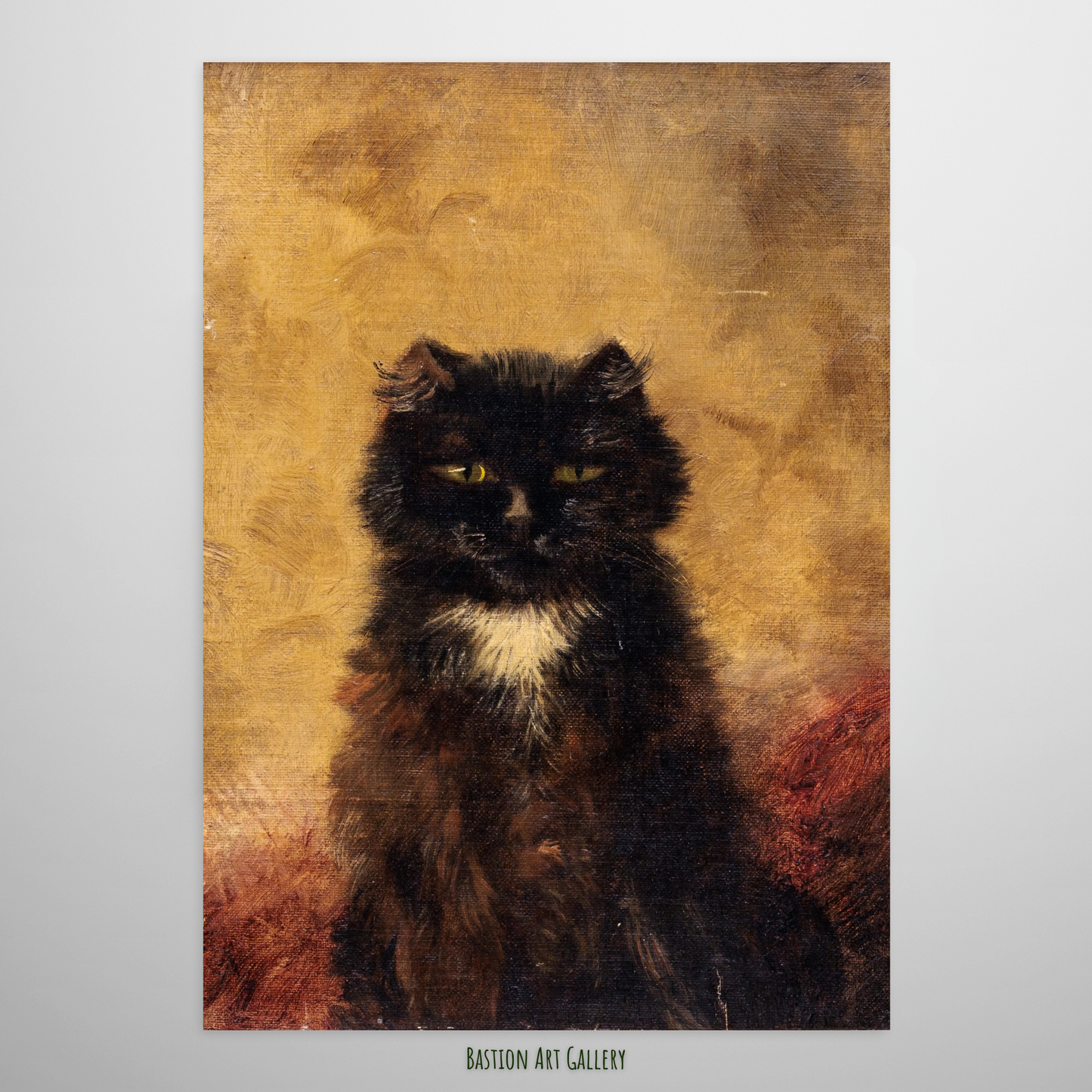 Gato Preto