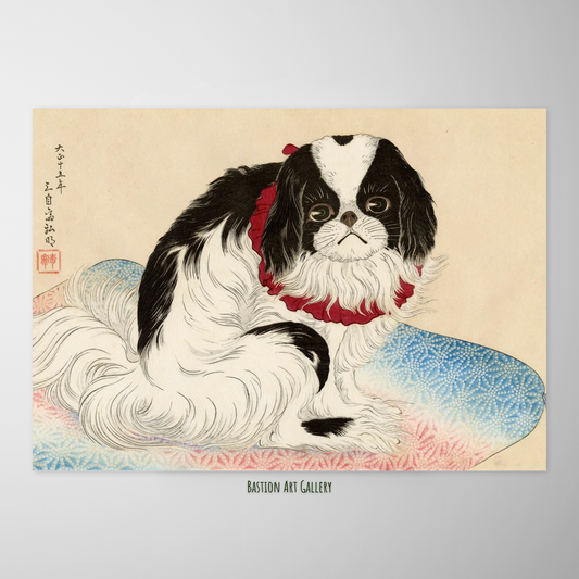 Cão Chin Japonês