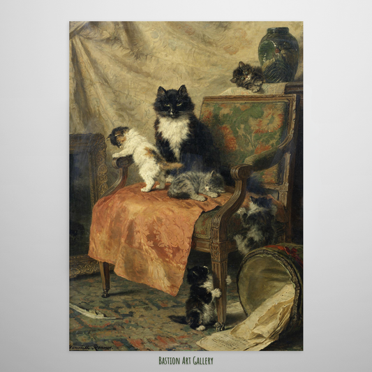 Gatinhos Brincando