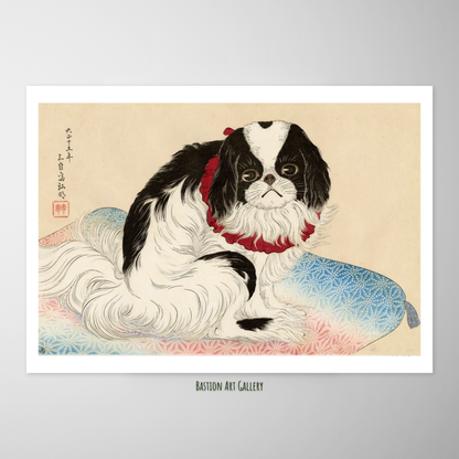 Cão Chin Japonês