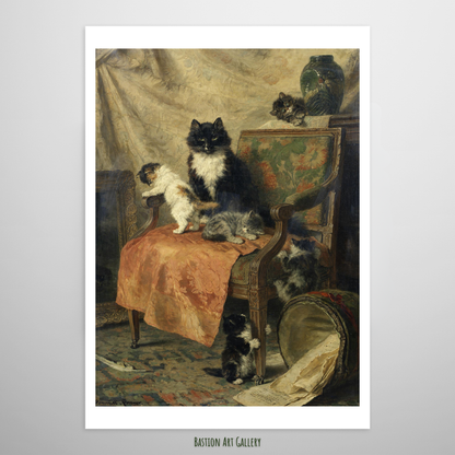 Gatinhos Brincando
