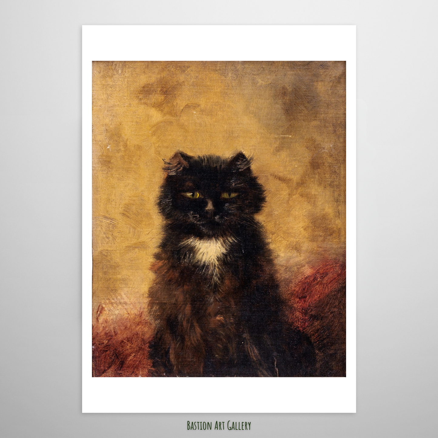 Gato Preto