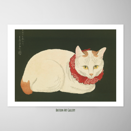 Gato Branco