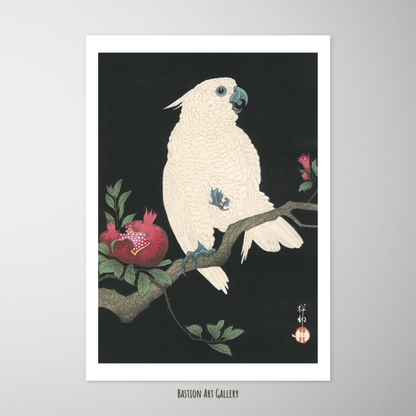 Cacatua e Romã