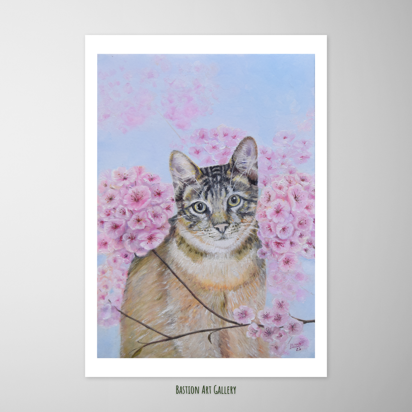 Entre flores de cerejeira I