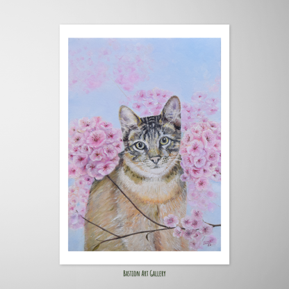 Entre flores de cerejeira I