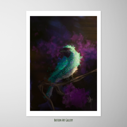 Saíras I - Saí Andorinha