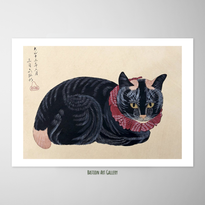Gato Preto