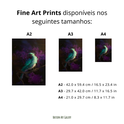 Saíras I - Saí Andorinha