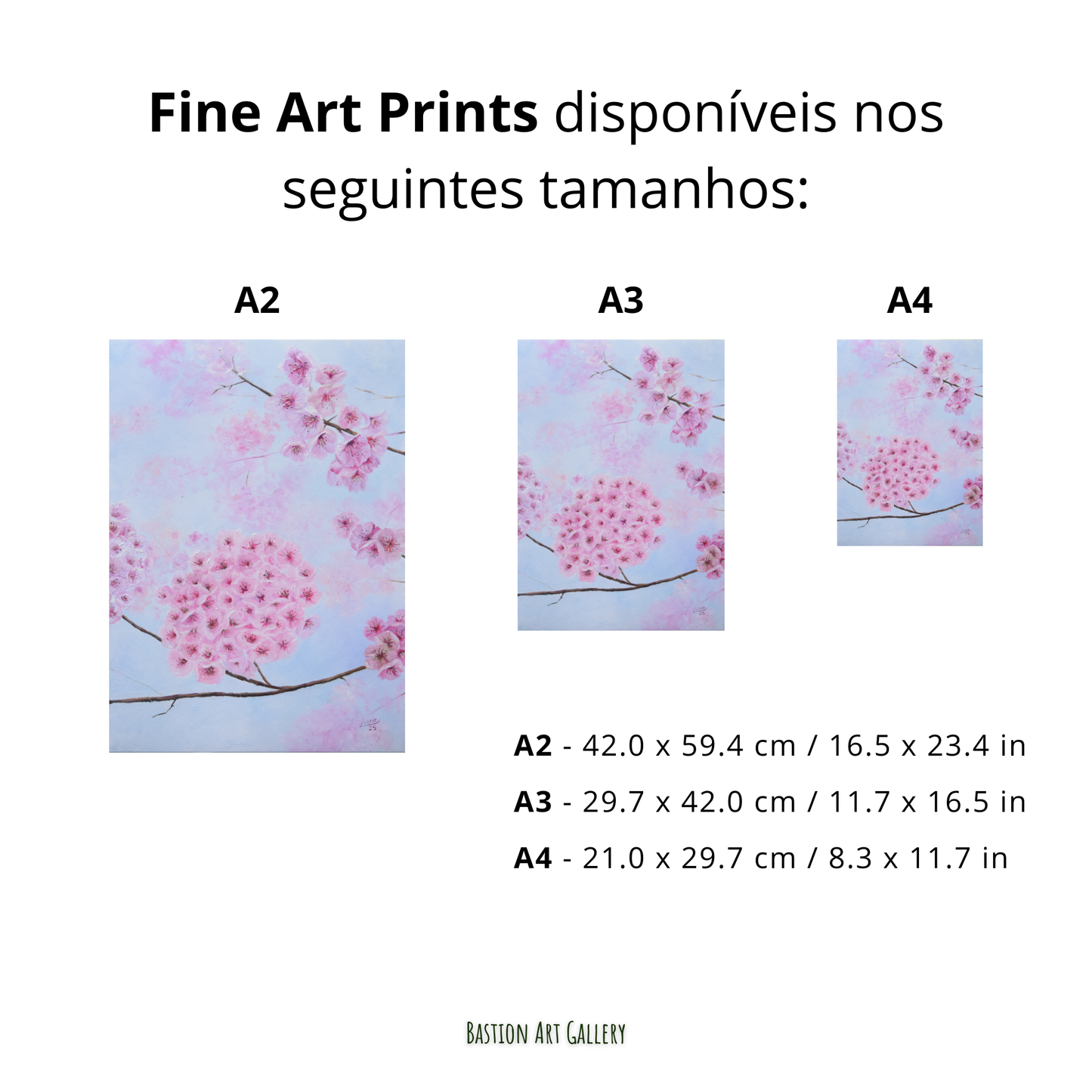 Entre flores de cerejeira II