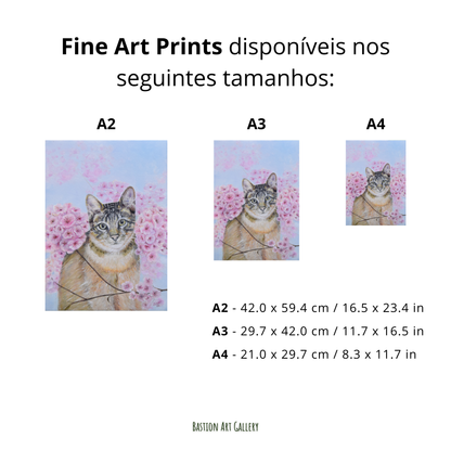 Entre flores de cerejeira I