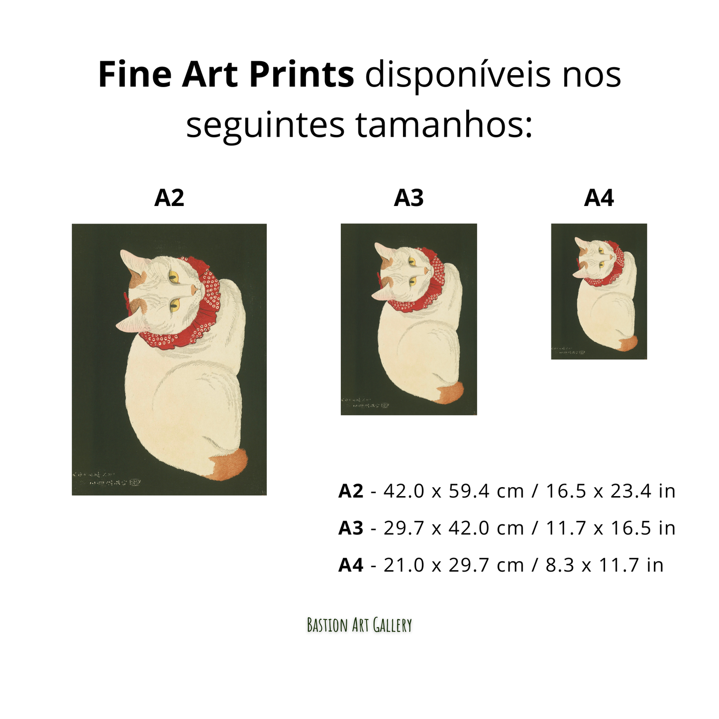 Gato Branco