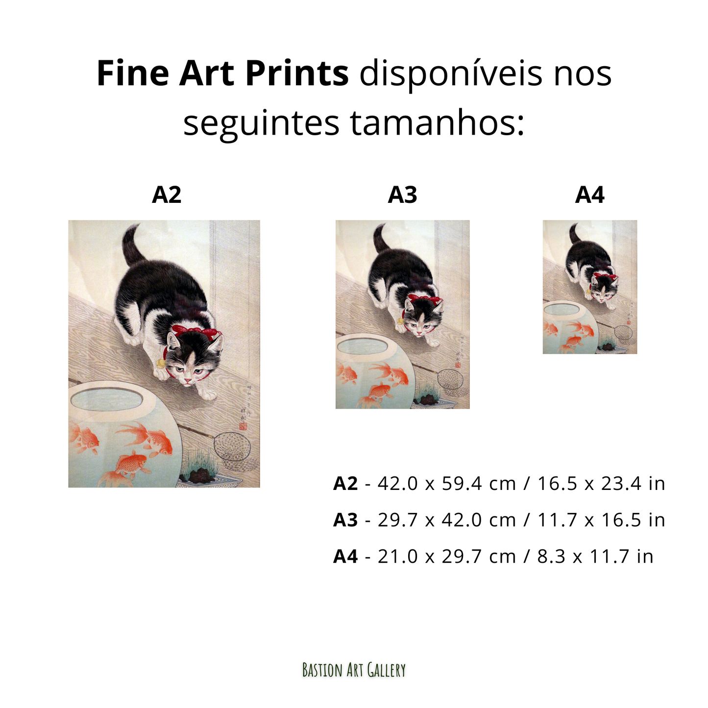 Gato e Peixes Dourados