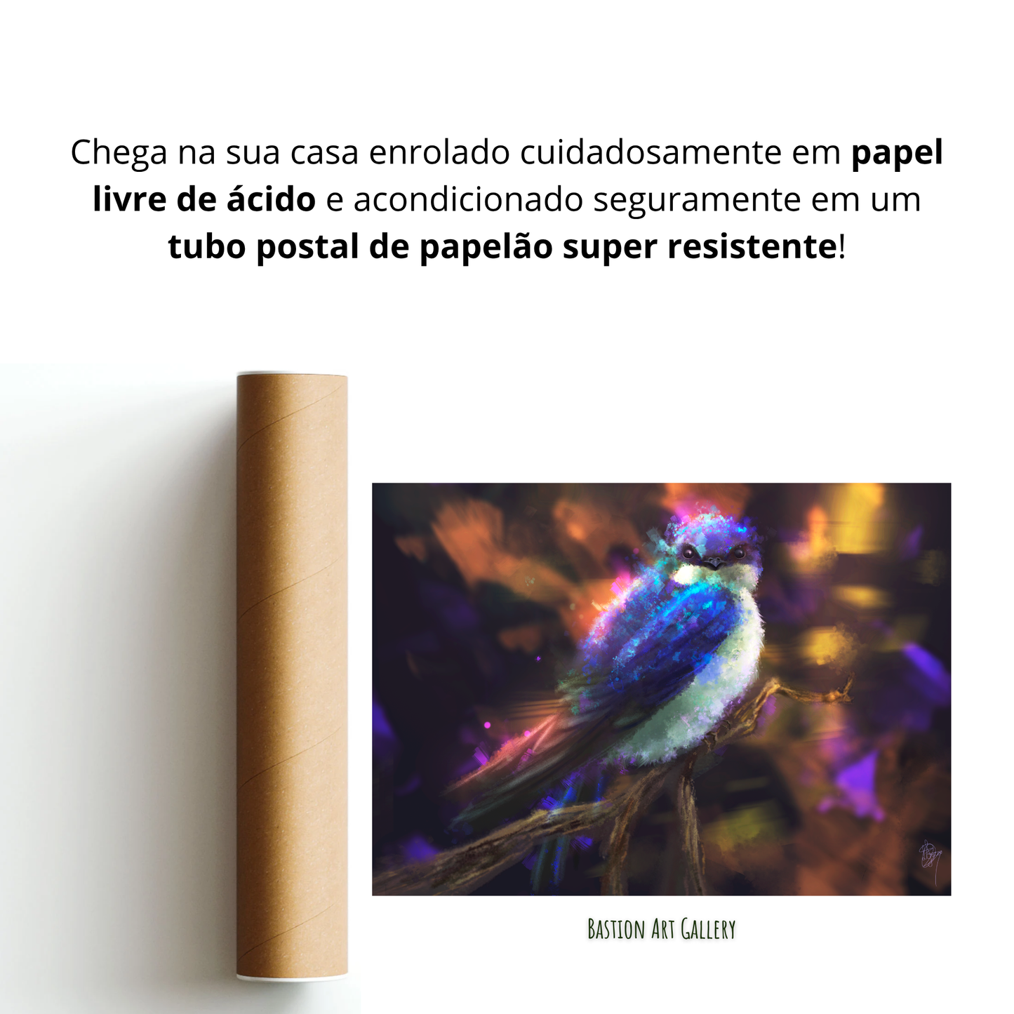 Andorinha Pequena de Casa