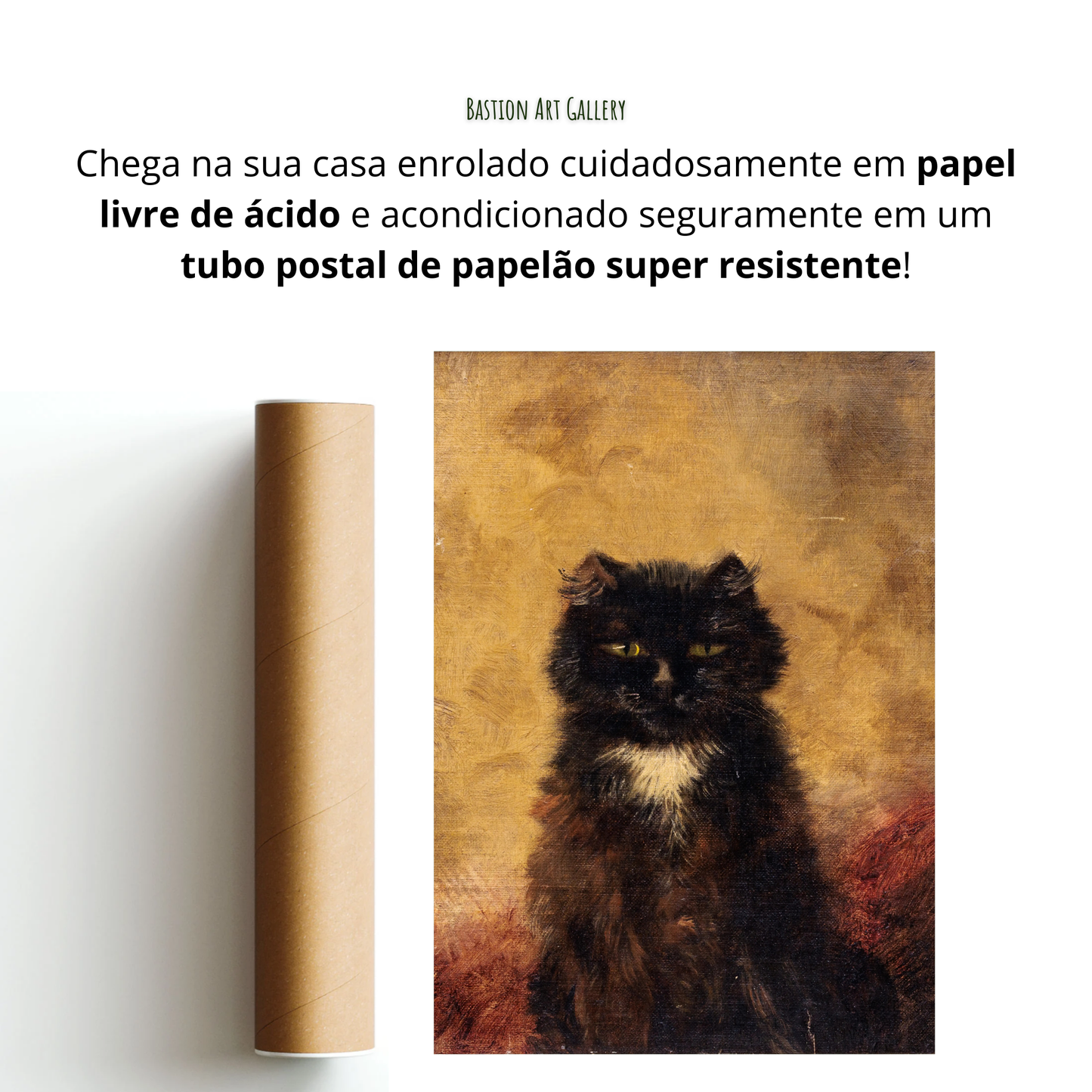 Gato Preto