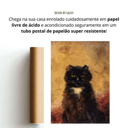 Gato Preto